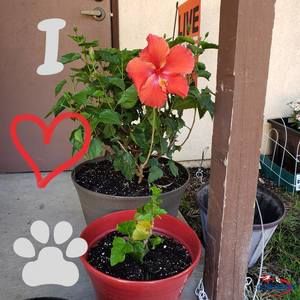 Meet your Posher, Teri